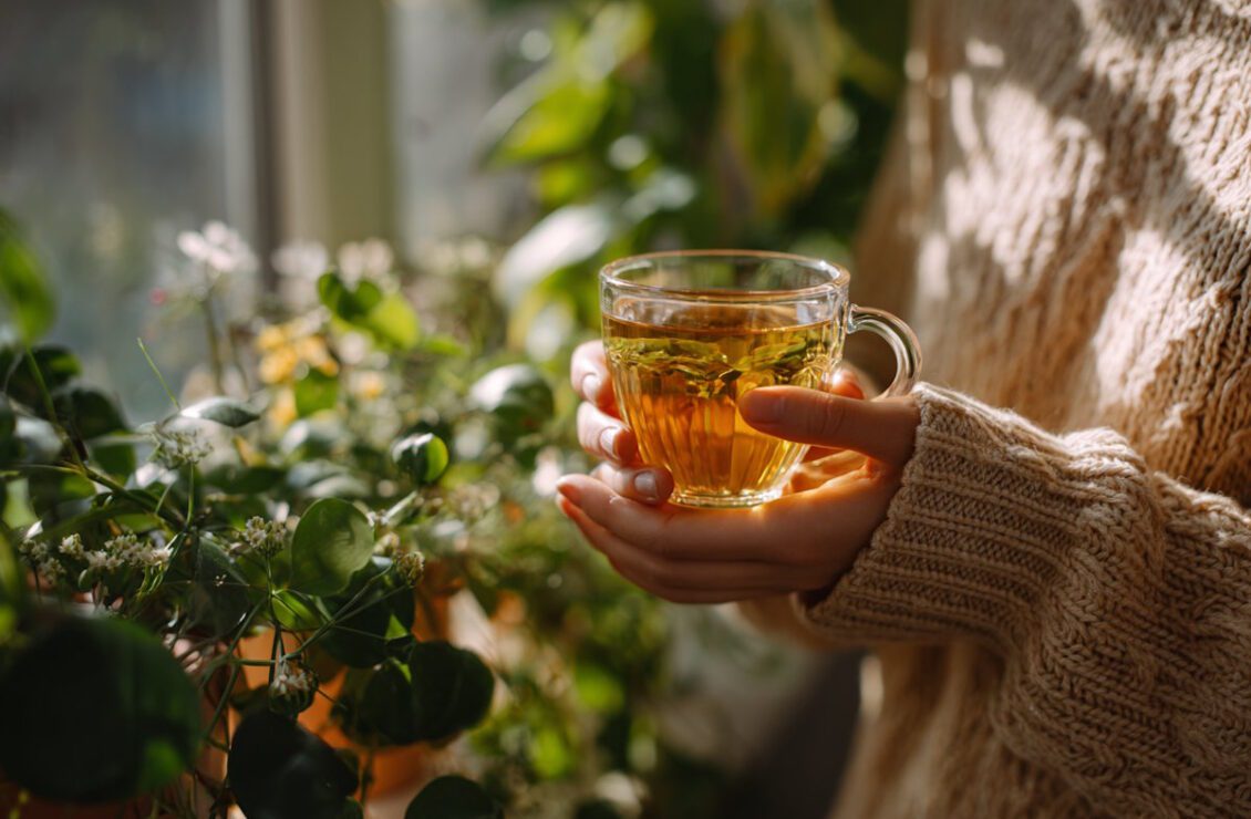 Фітопрепарати – сучасний аналог народної медицини